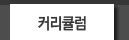 커리큘럼